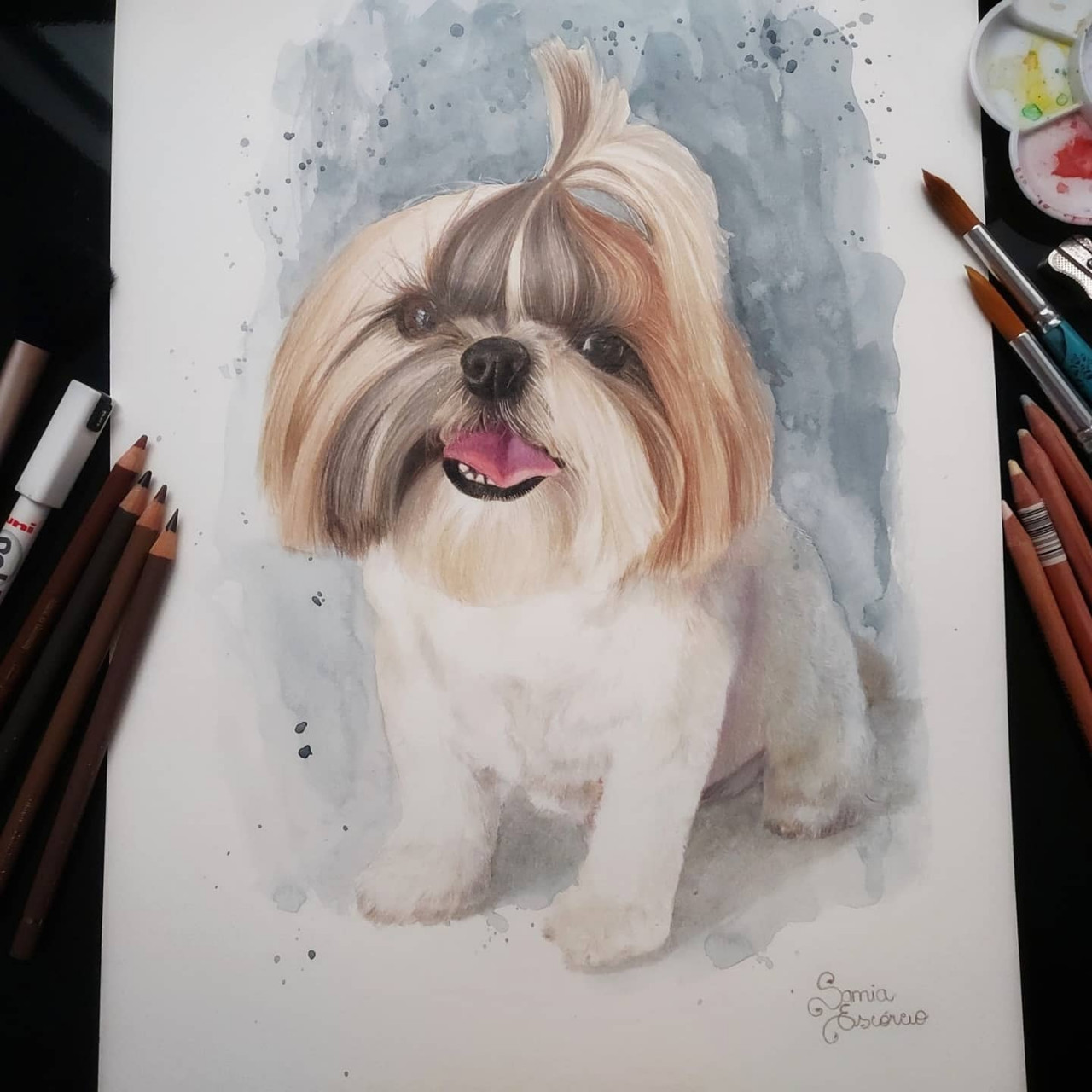 Pipoca